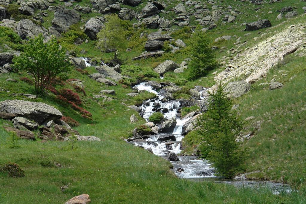 Le Relais Des Vaudois Hotel Freissinieres Екстериор снимка